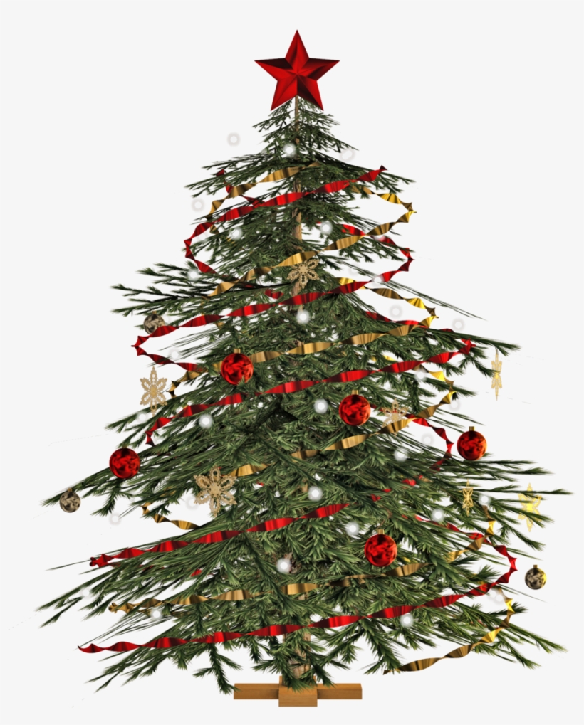 Christmas Tree Png Image - Christmas Tree Images Png, transparent png #37688