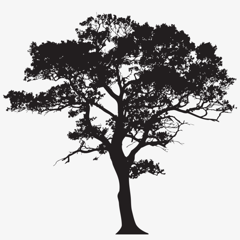 Silhouette Tree Png Clip Art Image, transparent png #37785