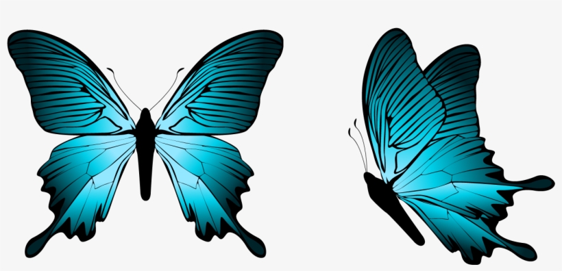 Blue Butterfly Png Clipart Image - Butterfly Png, transparent png #37828