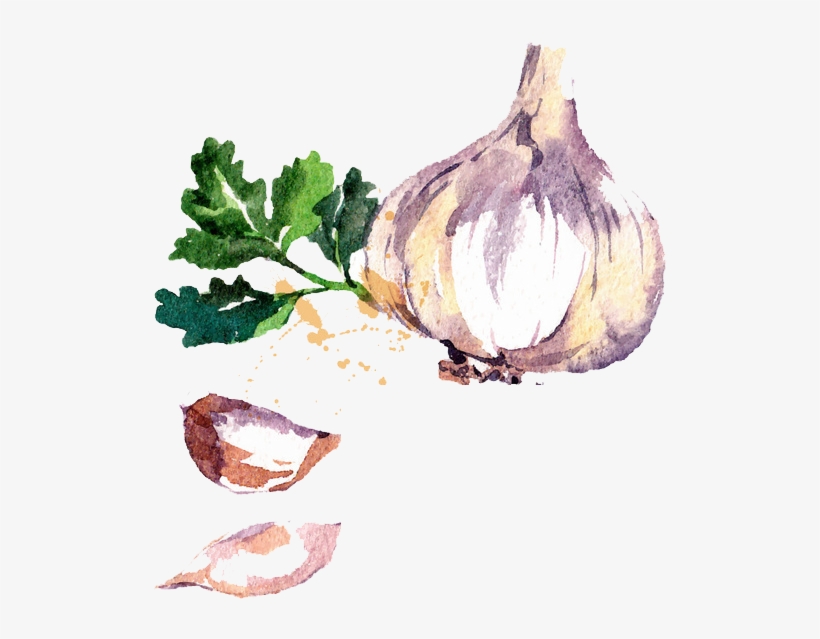 Watercolor Vegetables Png, transparent png #38110