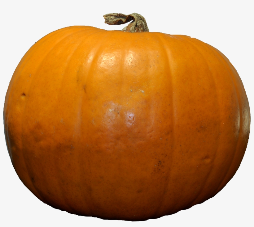 Pumpkin Png, transparent png #38158