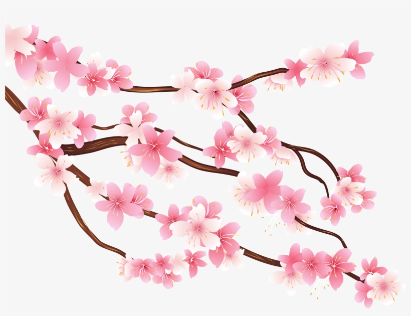 Branch Png, transparent png #38544