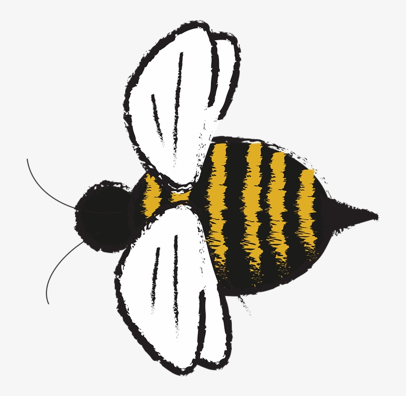 Bee Vector Watercolor - Bumblebee Png Animal, transparent png #38584