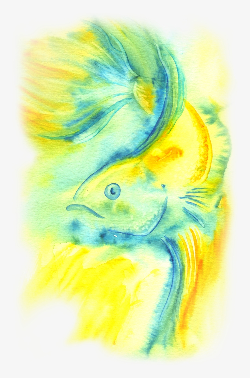 Clipart Download Fish Artwork Nicole Hanusek - Watercolor Painting, transparent png #38587