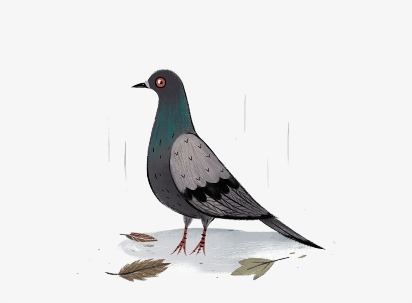 Julia Sarda's Mary Poppins Spots Pretty Drawings, Children's - Drawing Pigeon, transparent png #38665