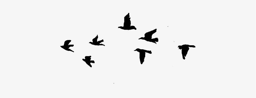 Flying Bird Png Hd - Flying Birds Gif Drawing, transparent png #38694