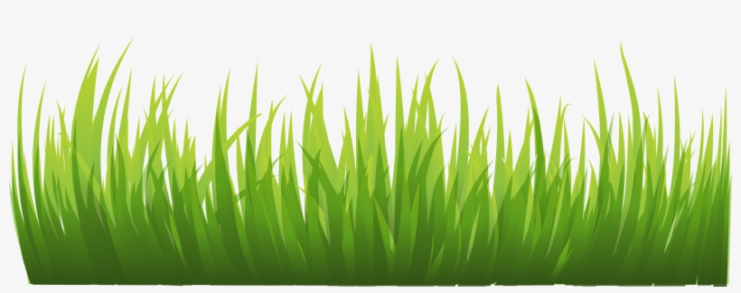 Free Icons Png - Clipart Grass Png, transparent png #38737