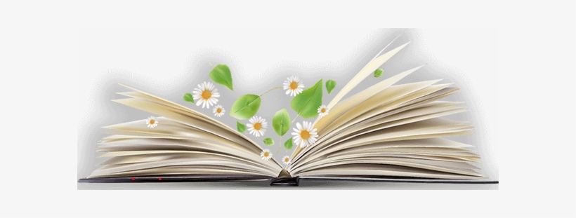 Open Book Png Image - Open Book Png Transparent, transparent png #38887