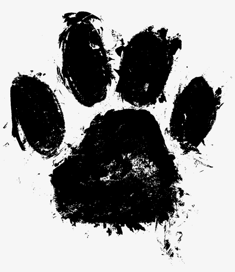 Paws Transparent Watercolor - Paw Print Png, transparent png #38890