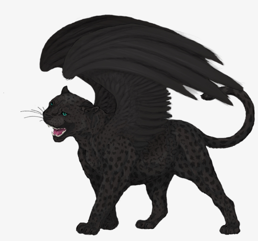 Leopard Black Panther Felidae Cat Drawing - Black Panther Animal Drawing, transparent png #38929