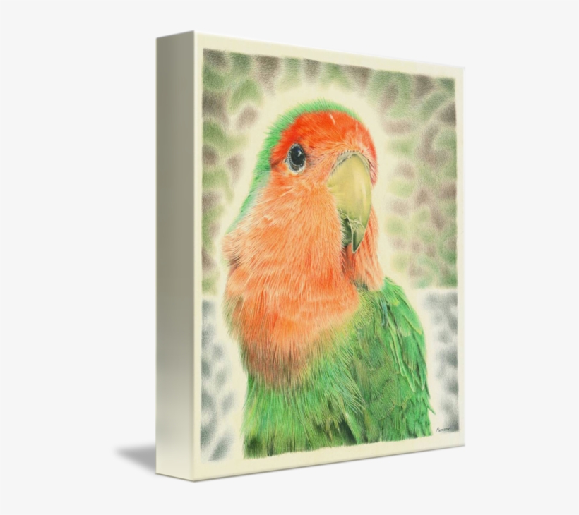 Lovebird Pilaf By Remrov S Artwork Share - Watercolor Painting, transparent png #38953