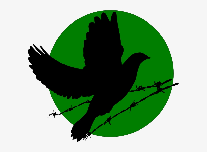 Download Dove Svg Clipart 43507 Free Dove Png And Svg Free