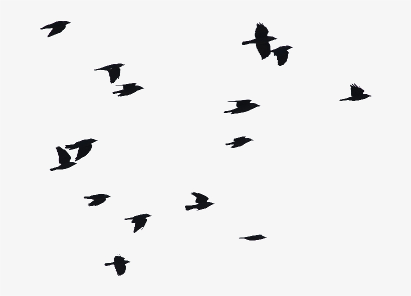 Birds Flying Png Image - Birds Flying Silhouette Png, transparent png #39234