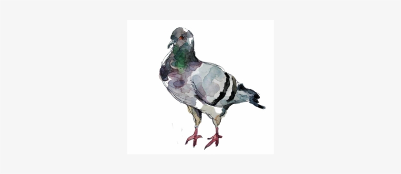 Clipart Download Objects - Pigeon Tumblr Png, transparent png #39745
