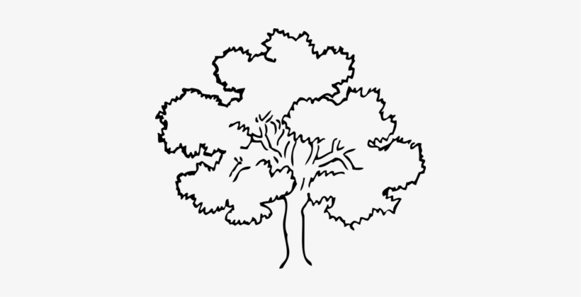 Oak Drawing Tree Black And White Download - Tree Clipart Black And White, transparent png #300247