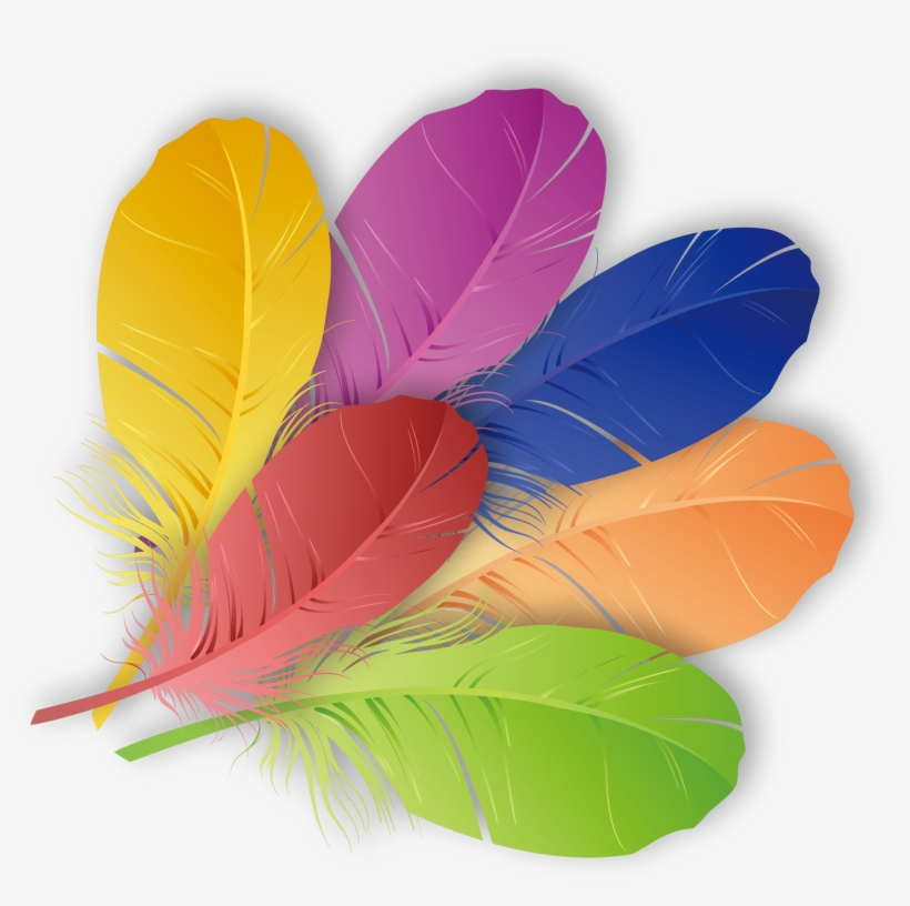 The Floating Feather Color - Feather Color Png, transparent png #300768