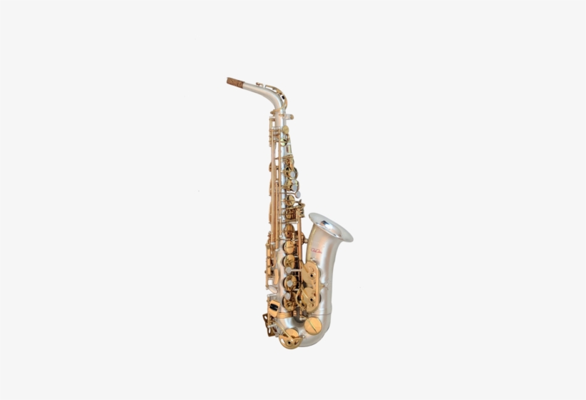 Tgs Rudy Rodriguez Signature Series Ii Alto Saxophone Alto