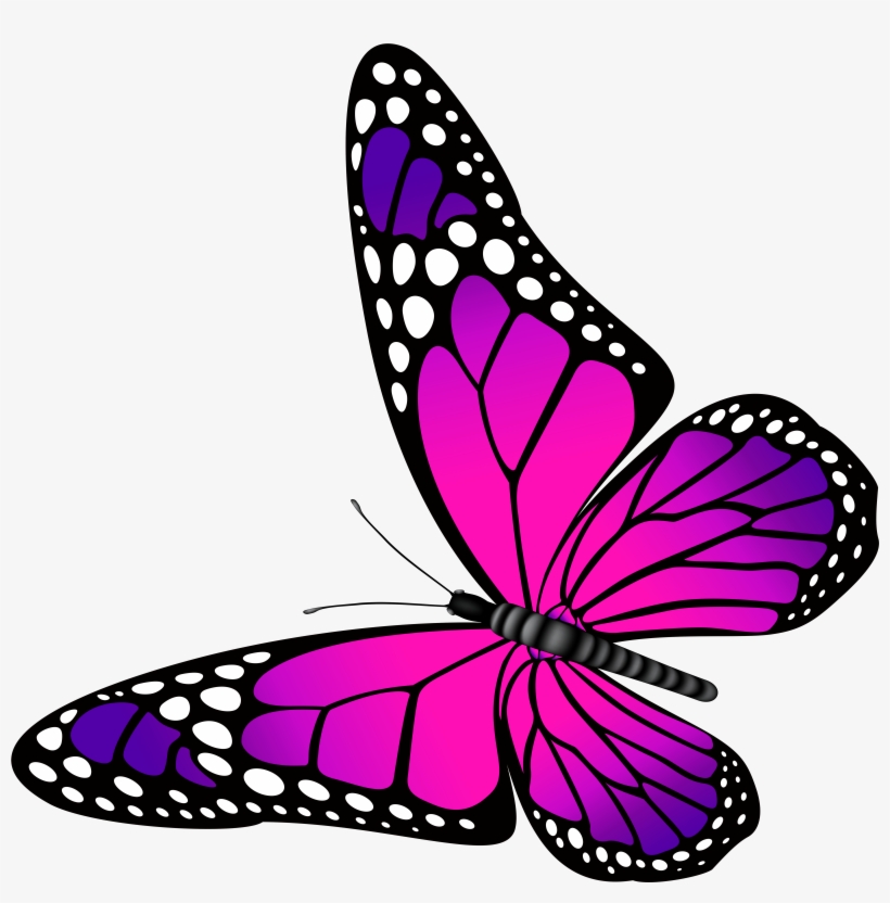 Butterfly Clipart For Kids At Getdrawings, transparent png #301287