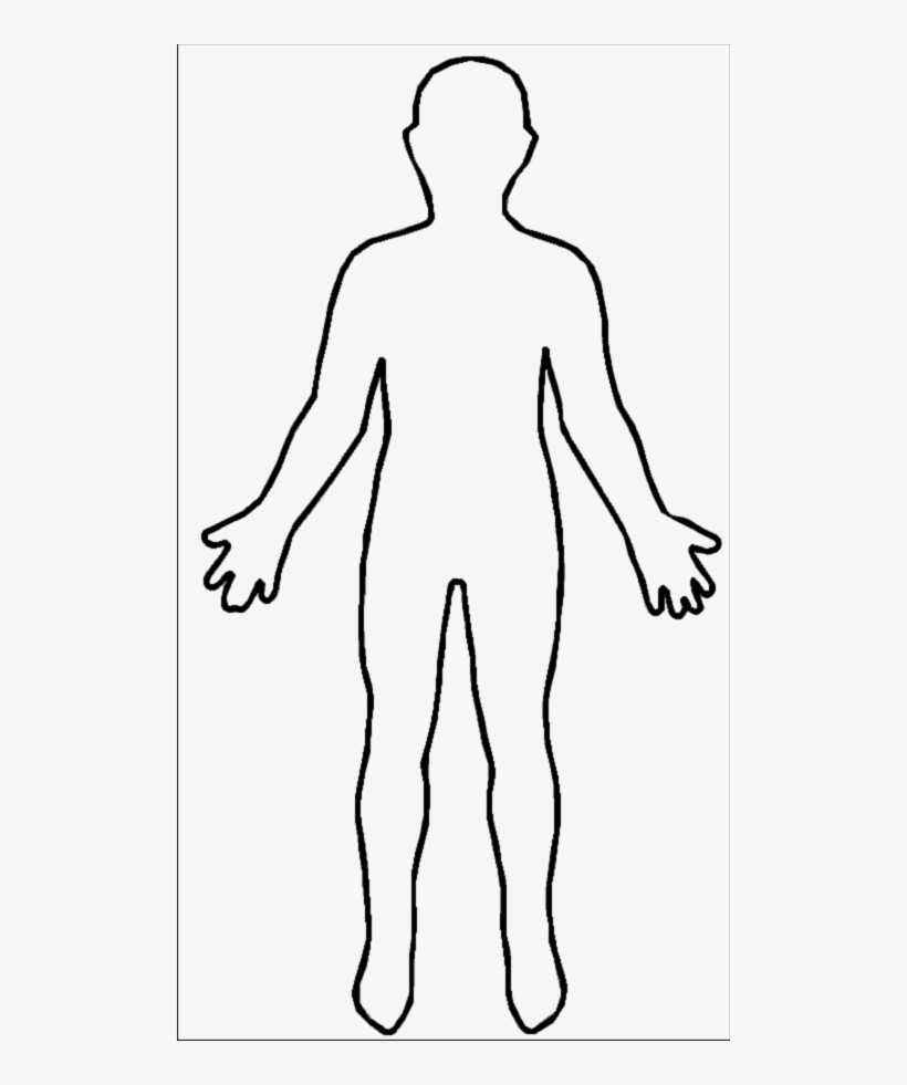 File - Outline-body - Human Body Outline, transparent png #301355