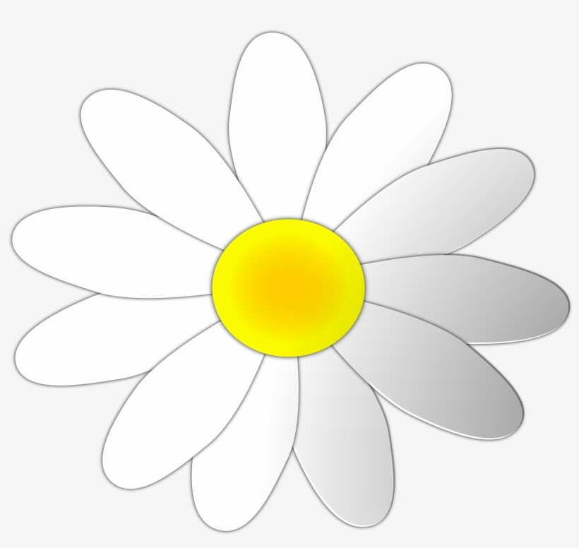 Chamomile Clipart Daisy - Common Daisy, transparent png #301481