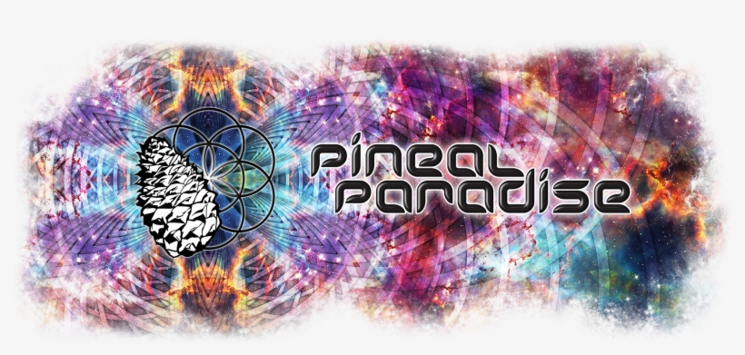 Pineal Paradise - Egg, transparent png #301551