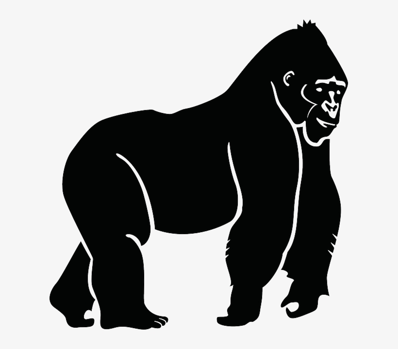 Free Vector Graphic - Gorilla Silhouette, transparent png #301779