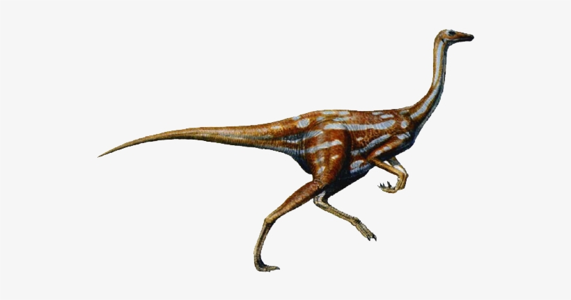 Ornithomimus-dinosaur - Ornithomimus Dinosaur, transparent png #301881