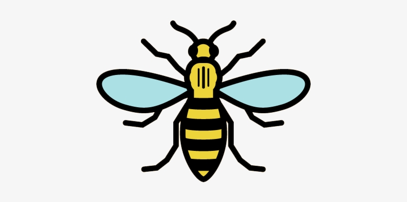 Deluxe Pics Of Steelers Logo What S The Buzz With The - Manchester Bee Pin Badge, transparent png #301997