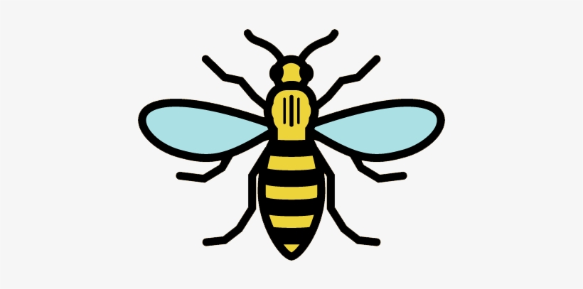 Deluxe Pics Of Steelers Logo What S The Buzz With The - Manchester Bee Pin Badge, transparent png #301997