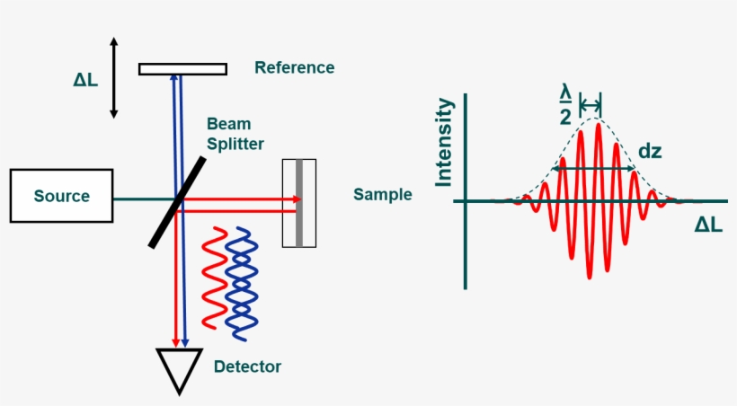 By Scanning The Laser Beam Over The Tissue - Medical Imaging, transparent png #302034