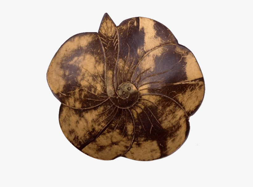 Coconut Soap Dish Hibiscus - Poppy, transparent png #302324