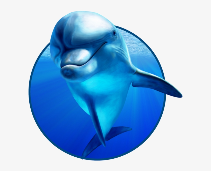 Dolphin Png - День Китов И Дельфинов, transparent png #303481