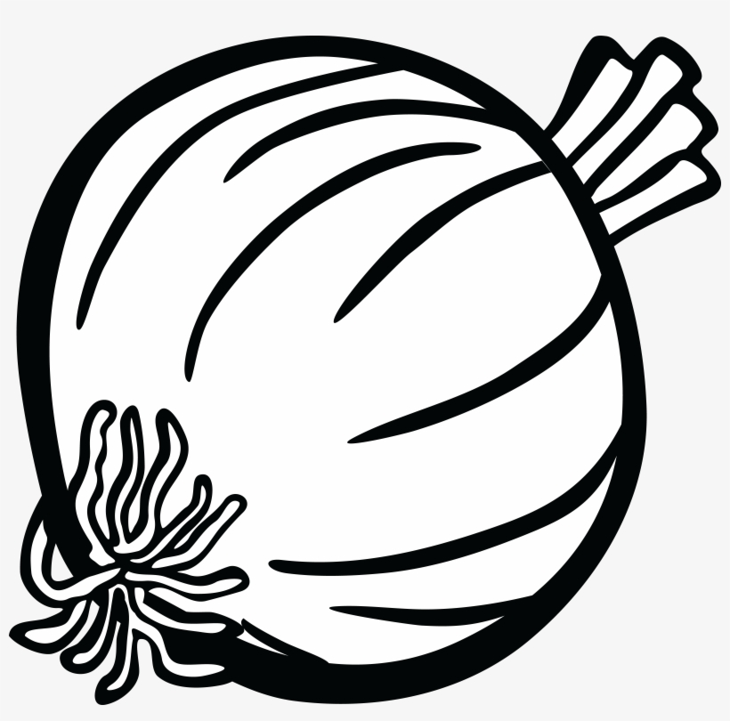 Clip Library Stock Clip Art Free Of An - Onion Black And White, transparent png #303553