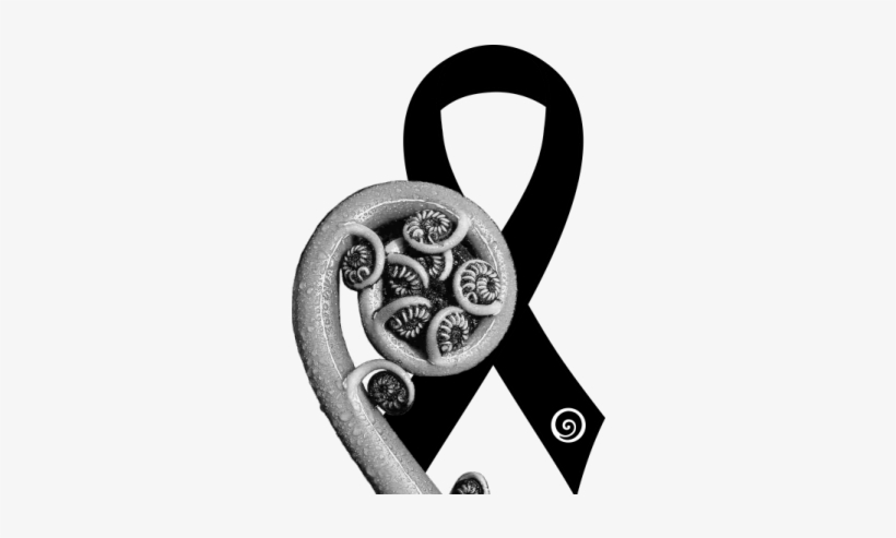 Over The Years, A Black Ribbon Has Been Used As A Symbol - Koru Fern New Zealand, transparent png #303649