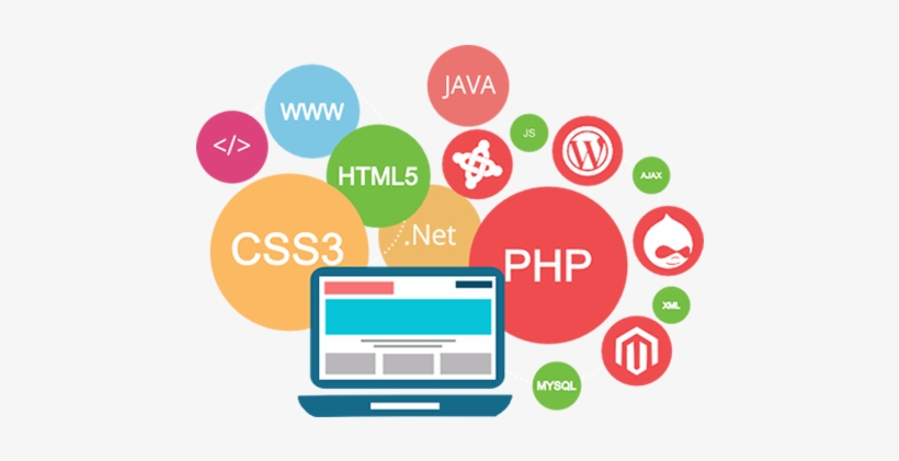 Why Choose Us - Custom Web Development, transparent png #303962