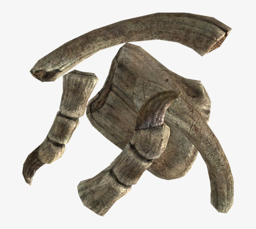 Tesv Dragon Bone - Драконья Кость, transparent png #303984