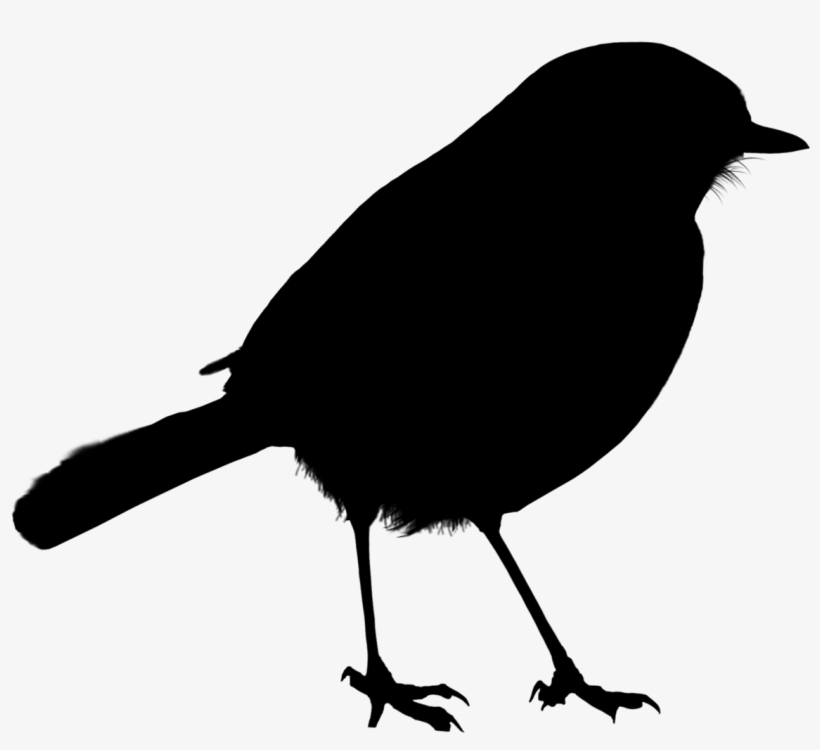 Bird Silhouette Png - Bird, transparent png #303985