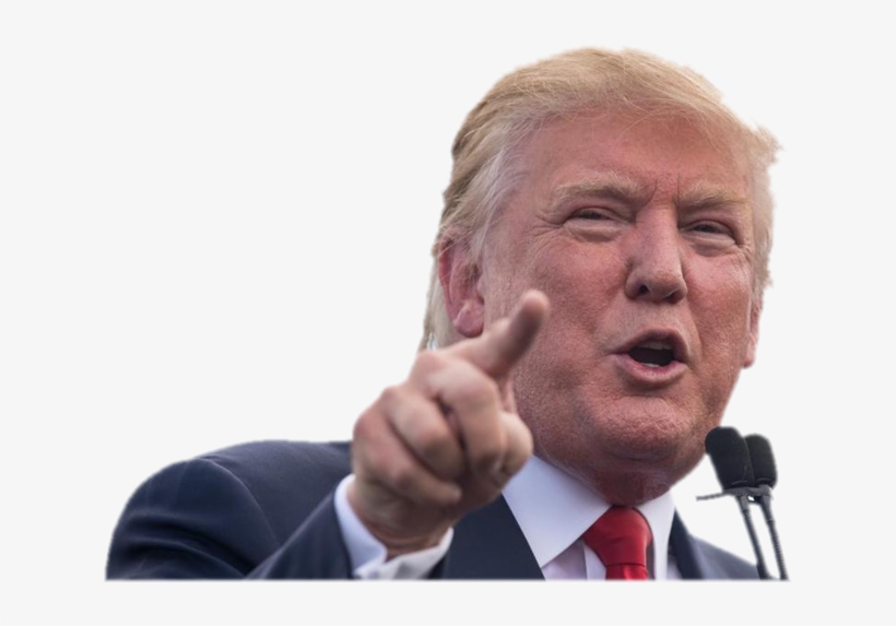 Donald Trump Domain Names For Sale - Politician Toilet Bowl Aiming Stickers Democrat Republican, transparent png #304089