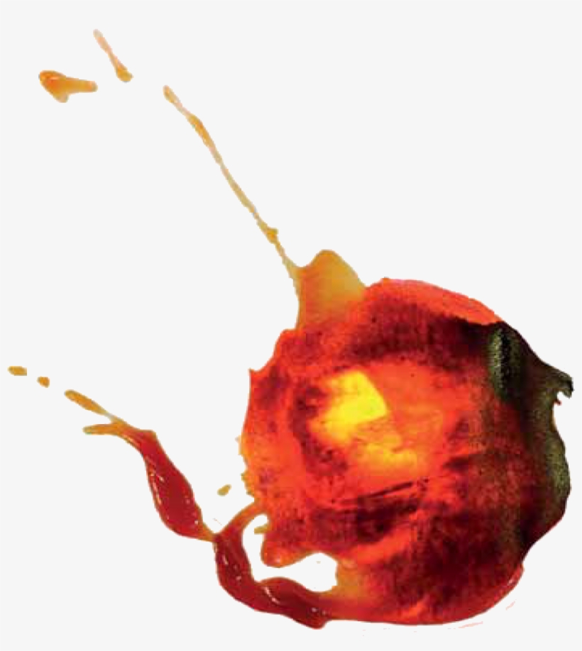 Skip To Content - Illustration, transparent png #304814