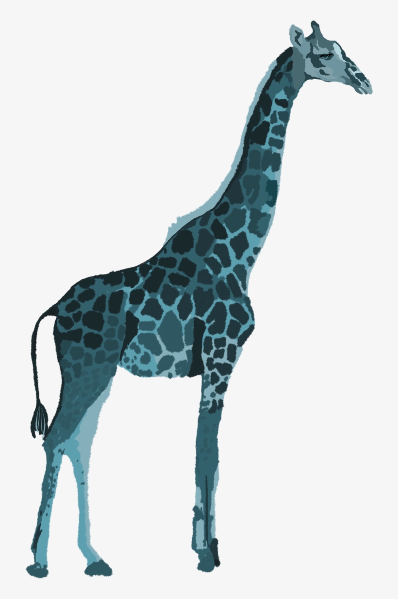 Giraffe, transparent png #305130