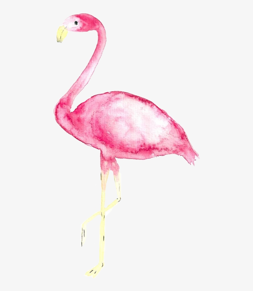 Report Abuse - Iphone Se Wallpaper Pastel Flamingo Real, transparent png #305220