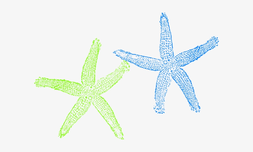 How To Set Use Blue Green Starfish Clipart, transparent png #305863