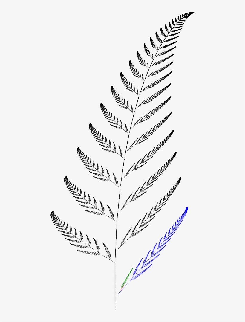 Barnsley Fern Funktion4 - Sketch, transparent png #306114