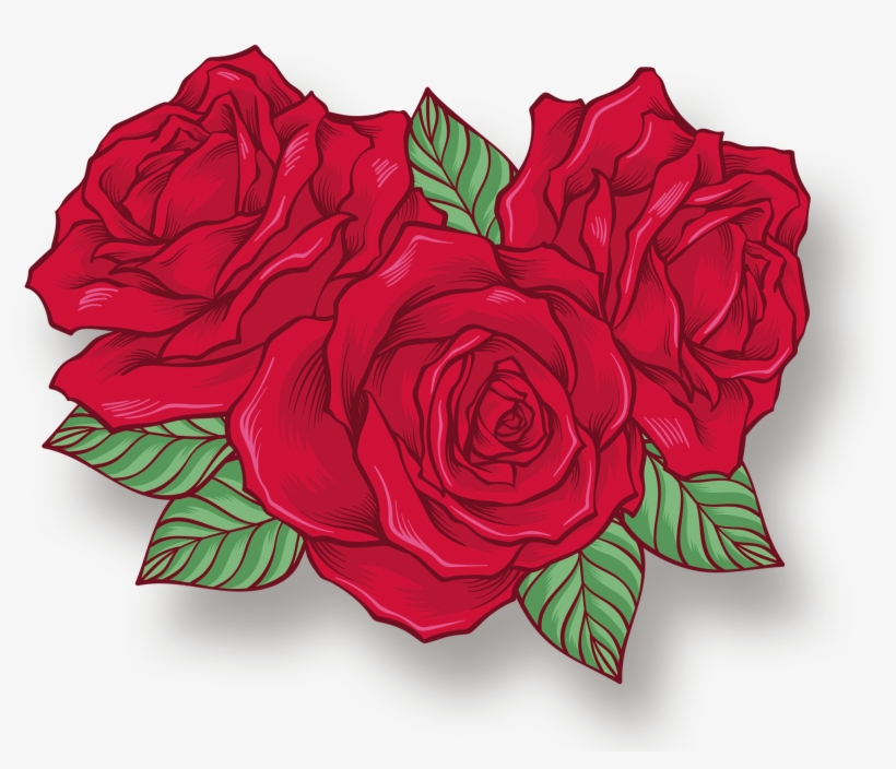 Hand Drawn Cartoon Fashion Rose Flower Decoration Png - Garden Roses, transparent png #306314