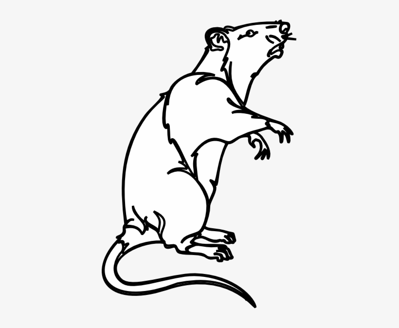 Rat Svg Clip Arts 402 X 594 Px, transparent png #306666