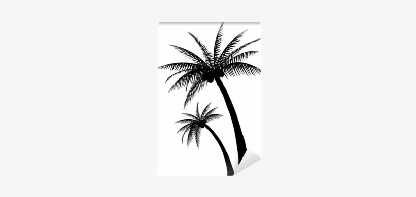 Palm Tree Silhouette, transparent png #306823
