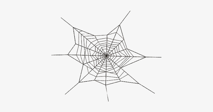 Corner Spider Web Png - Spider Web Transparent Png, transparent png #307397