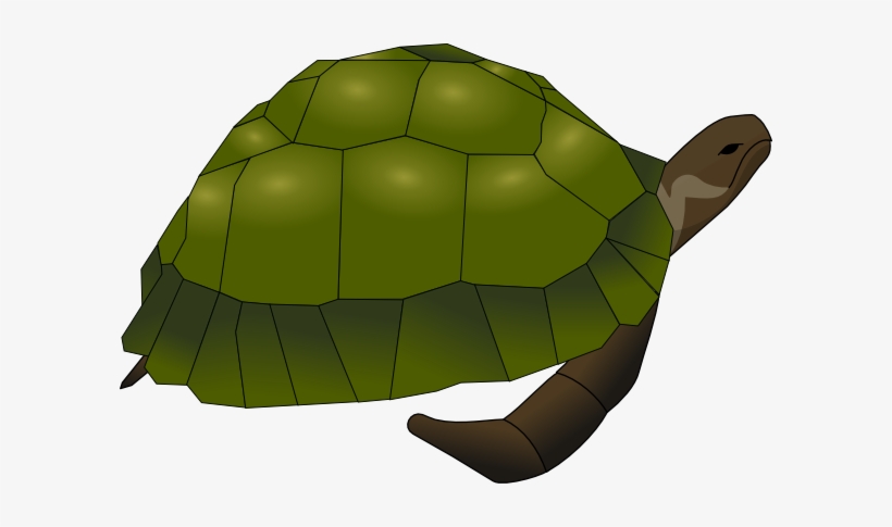 Turtle Svg Clip Arts 600 X 405 Px, transparent png #307532