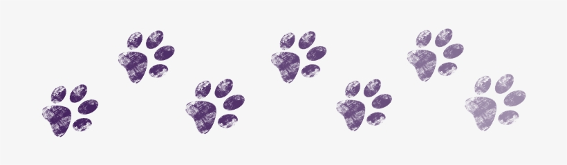 All Breed And Pit Bull Dog Rescue - Dogs Are Deserving Rescue, Inc, transparent png #307645