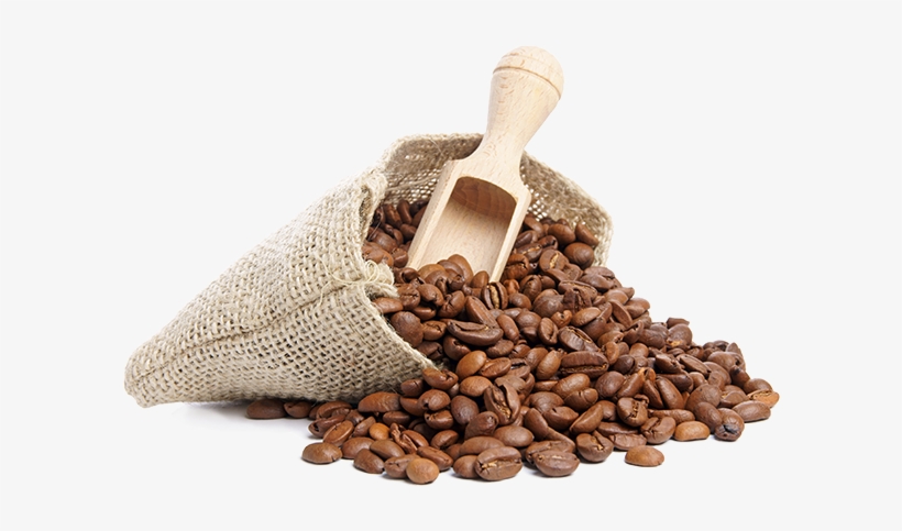 Coffee Beans Png Photo - Coffee In The Gym, transparent png #308092